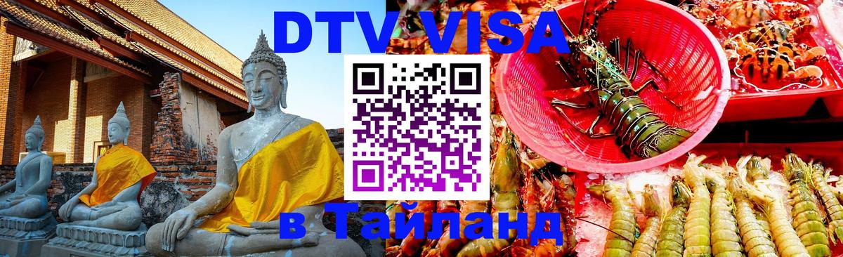 Сколько стоит DTV виза — актуальные цены, оформление даже без документов - 09.01.2026 